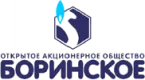 Боринское