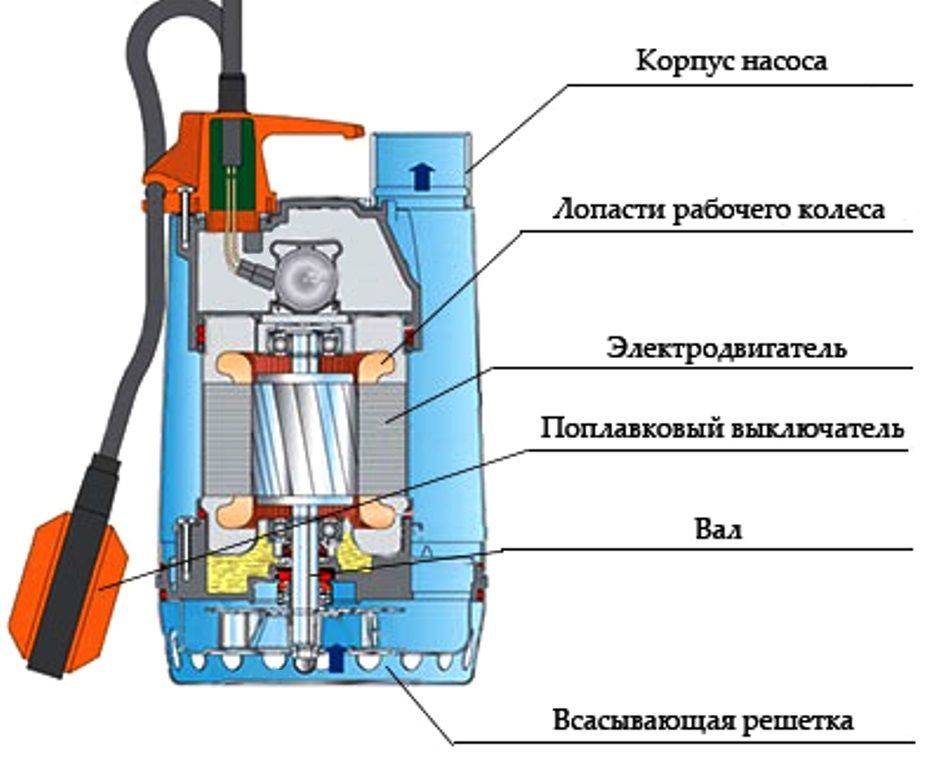 Схема насоса для воды в разрезе