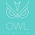 Owl 1975