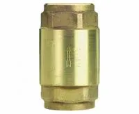 Обратный клапан FIV Eura Pesante 1 1/2* Обратный клапан FIV Eura Pesante 1 1/2*